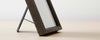 shagreen carbon frame