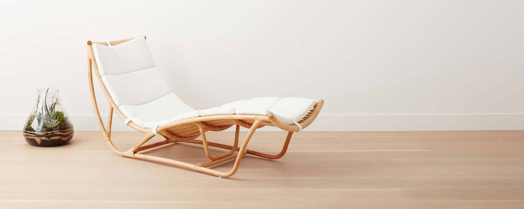 rattan daybed and cushion
