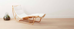 rattan daybed and cushion