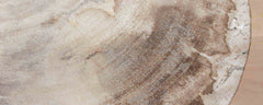 petrified wood round side tables