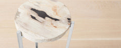 petrified wood round side tables