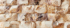 oyster boxes