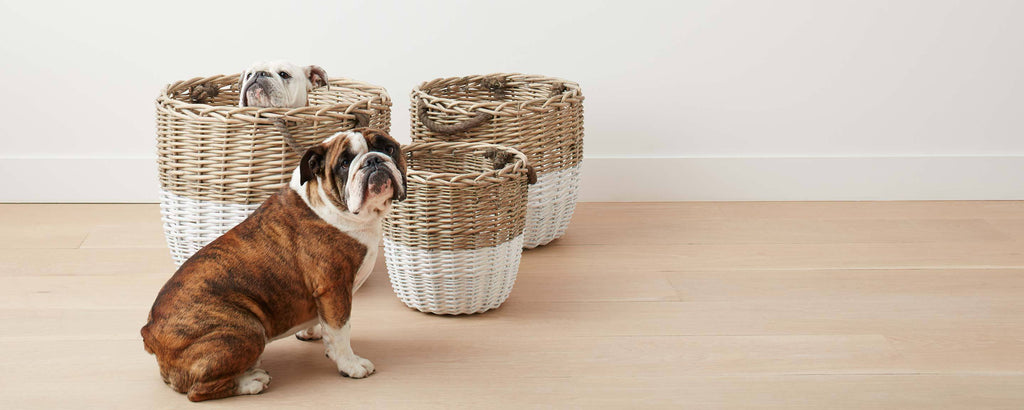 white dipped willow baskets