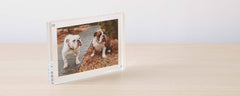 lucite photo frames