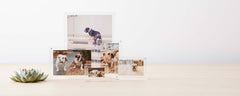 lucite photo frames