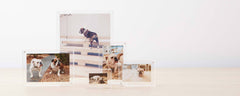lucite photo frames