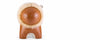 image test WIDE