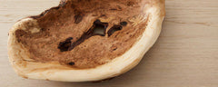 burlwood bowls