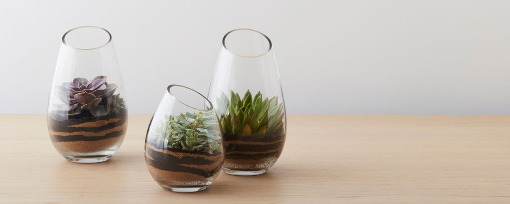 vase terrariums