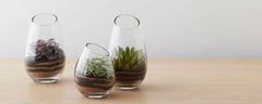 vase terrariums