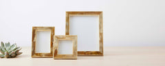 segmented horn frames
