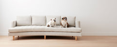 modern chaise