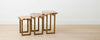 petrified wood nesting tables