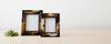 horn frames