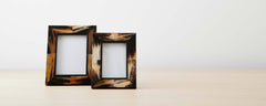 horn frames