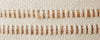 llama camel stripe pillows and throw